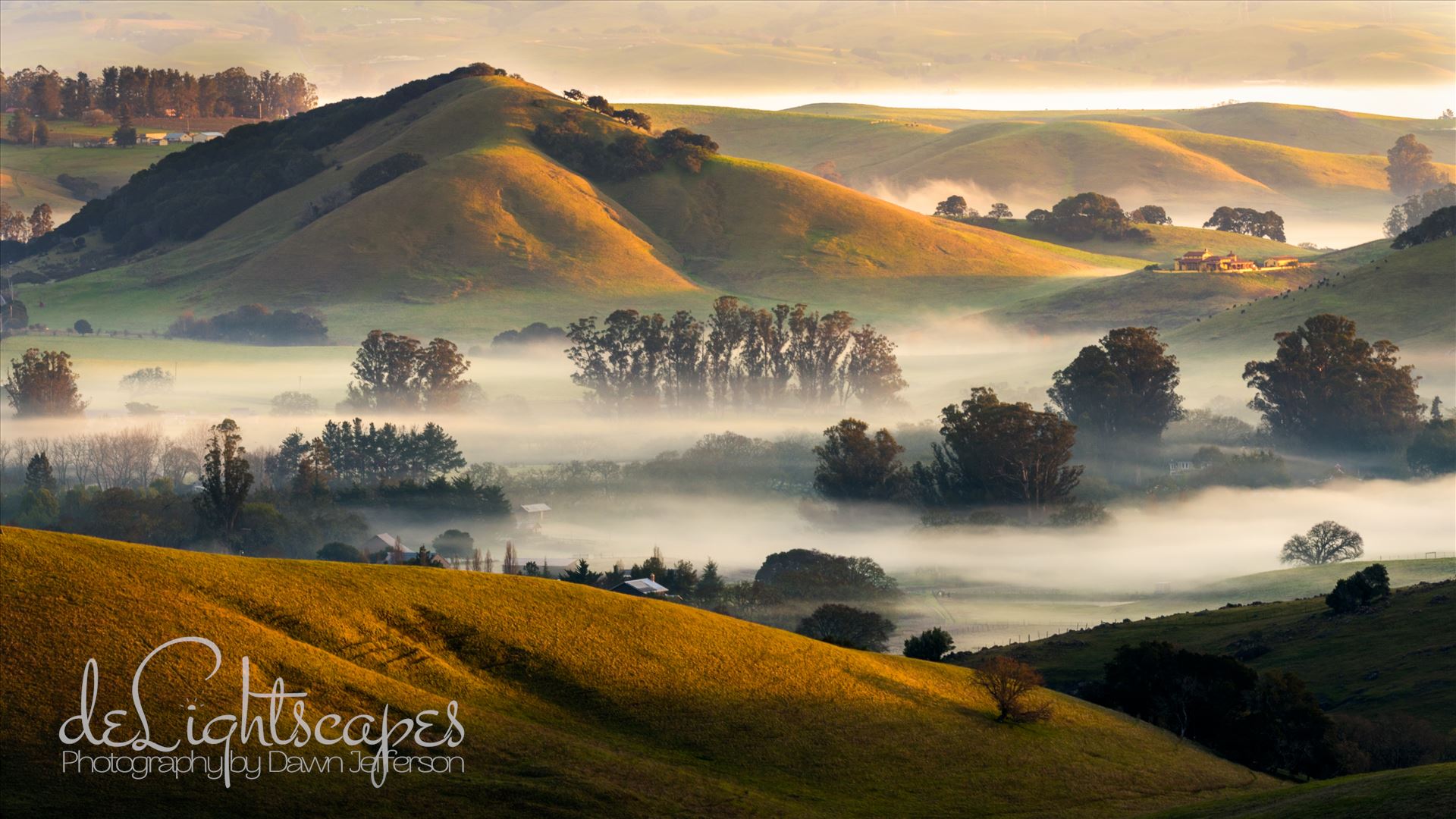 Valley Fog -  by Dawn Jefferson